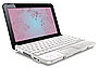 HP Mini 110