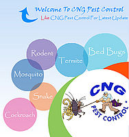 Fumigation Services & Pest Control Services