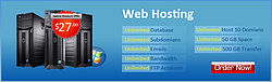 Web hosting plans  your business