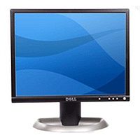 DELL 20.1