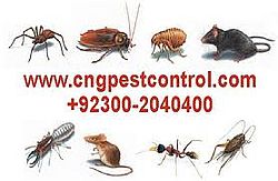 Fumigation Services & Pest Control Services