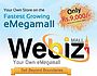 Create Your Own Online Store,